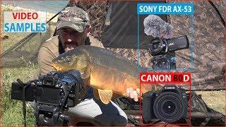 SHORT CARP SAMPLES  - CANON 80D vs SONY FDR AX-53