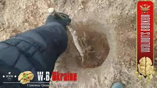 Грецкий орех Кочерженко. Закладка трехлеток от Walnuts Broker Part - #1. 2020 #ГрецкийОрехКочерженко