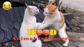 Hood Animal Voiceovers   #55