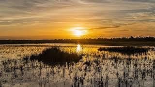 Tinnitus Therapy Sunset 10 Hours Nature Sounds