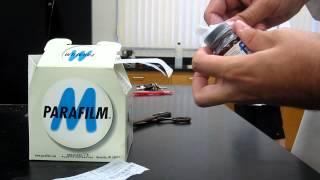 Lab Demo - Using Parafilm