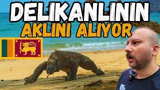 KOMODO EJDERİ HER YERDE ! SRİ LANKA’DA GÜNEYE İNİYORUZ !