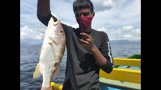 Fishing with Kalpoo's, Captain Ravi, Gulf of Paria, Trinidad.