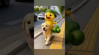 The cute duckling buy a green mango’s to home #funny #cute #duck #cuteanimals #mango