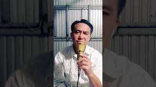#Nhánh Mù U Con Bướm Vàng không Đậu...#Na Hồng cover