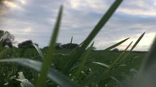 Krone B1000 and fendt 724