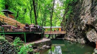 Qəbələ 7 Gözəl Şəlaləsi | Azerbaijan Gabala Yeddi Gozel Waterfall | #waterfall  #waterfallhike