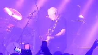 David Gilmour  -  Comfortably Numb (featuring Purple Rain )