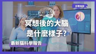 冥想後的大腦是什麼樣？最新冥想科學博士論文報告｜亞蒂絲說