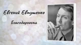 Евгений Евтушенко "Благодарность"