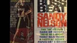 Sandy Nelson - Teen Beat