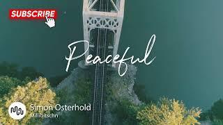 Best Jazz Peaceful Music for Video [ Simon Osterhold - Millibitschn ]