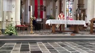 J.S.Bach Jesu, Joy of Man's Desiring arr. Myra Hess-Marsha Malènko
