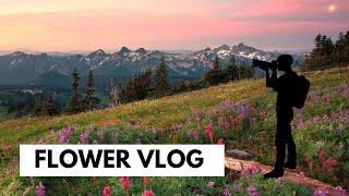 Valley of Flowers Trek: Discovering Heaven on Earth | Vishal Bind Vlog