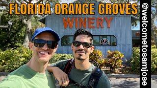 Florida Orange Groves Winery in St. Petersburg, Florida - Travel Highlight with Welcome to Sam José!