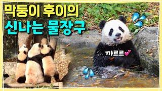 [ep.279] 막둥이 후이의 행복한 물장구타임🩵 ㅣ잔뜩 신난 루이후이와 애들 자제시키기 바쁜ㅋㅋㅋ심란한 아이바오ㅣ아기 푸바오의 물장구..