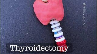 Playdough Surgery - Total Thyroidectomy (and parathyroid autotransplantation)