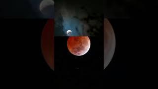 Лунное затмения 14 марта 2025 года. #луна #затмение #ночь