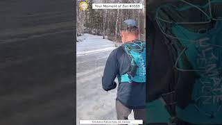 ScienceMan Moment of Zen 0509 #peaceful #winter #forest #trailrunning #asmr