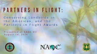 2019 Partners in Flight Awards Presentation