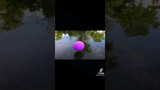 الفكره عباره عن فن