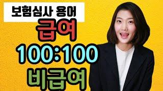 [보험심사] 급여, 비급여, 100:100 용어 / 슬기로운 심사공부