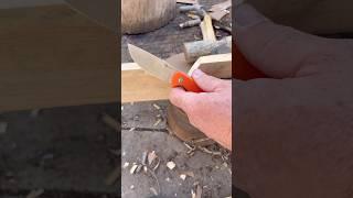 CIVIVI Timberbark, tough little EDC #shorts #knifestuffwedo #fixedblade #knifetest  #civiviknives