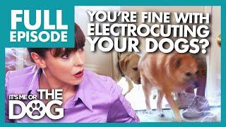 Dogs Scared to Enter Their Own Home Due to Electric doormat | Full Episode USA | It's Me or The Dog