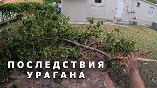 Ураган разворотил мой задний двор, Перевожу машину свинтуса, Раздал 100 кг авокадо из своего сада