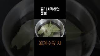 월계수 잎, 정향으로 당뇨와 염증질환 이겨냅시다! Bay leaf & Cloves [건강 생활]