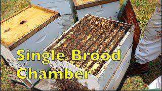 A Problem With Single Story Bee Colonies