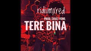 TERE BINA (Proud:Exult Yowl)-ridiumxred