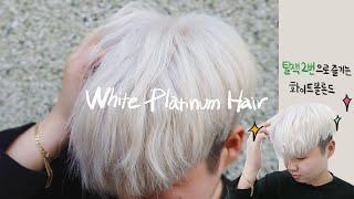 탈색두번으로 화이트블론드 영롱한 백금발 아이돌 헤어컬러가 되어버렸다.... White Platinum Hair