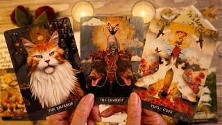 LOVE TAROT READING-  THEIR NEXT MOVE IS ONE YOU'VE WAITED FOR!!! 