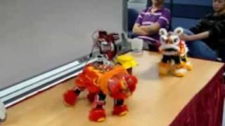 NTU Robotic Lion Dance (Sideview) Draft