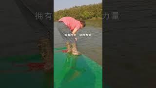 Fishing reel, Cast net fishing video Catch Tons of fish  Traditional Net Catch fish On River 4