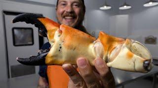 The Truth About Stone Crab