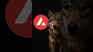 Kim bu Umay ? Kim bu gökbörü? #emingünsirer #avax #avalance #bitcoin #kriptopara #crypto #altcoin