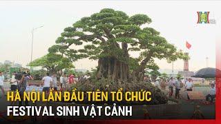 Hà Nội lần đầu tiên tổ chức Festival sinh vật cảnh | Tin tức