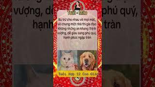 Hạt Giống Tâm Hồn - Những Câu Nói Hay, Giá Trị Nhân Văn, Suy Ngẫm Cuộc Sống #Podcast #bàihọccuộcsống