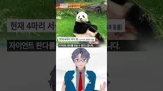 【SeeHa】여기서도 판다 볼 수 있어요! 와카야마현을 1분 정리! [#47도도부현숏지식]