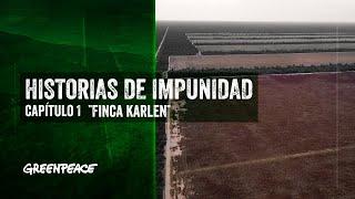 El desmonte ilegal más grande de Argentina en los últimos años - Historias de Impunidad #1