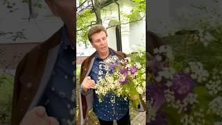 Ярослав Евдокимов - День полевых цветов #фантазер #shorts