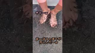 足の角質を食べるお魚ドクターフィッシュやったことある？#ショート #shorts #Doctor Fish