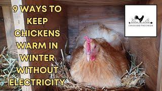 9 Ways To Keep Your Chickens Warm In Winter Without Electricity