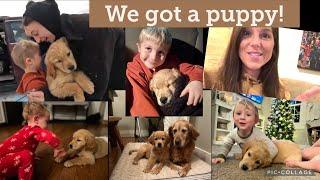 Buying a puppy from Lancaster Puppies, Going into Amish country, puppy scams and puppy mills talk.