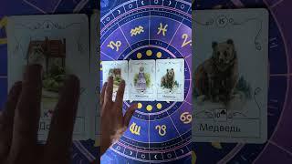 СБУДЕТСЯ ЛИ ТО, О ЧЕМ МЕЧТАЕМ ПРЯМО СЕЙЧАС ?! #таро #tarot #таронадень #таросегодня #раскладтаро