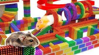 DIY - Build Fantastic Maze For Hamsters Pet From Magnetic Balls (Satisfying) - Magnet Balls