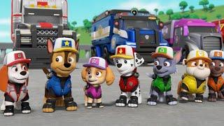 PAW PATROL Big TRUCK PUPS Stop a Flood!!! New Pup AL @Qdad