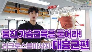 라크로스볼 마사지 대흉근 편